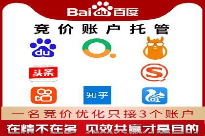 某某SEM团队成功提升网站流量与转化率的实战经验